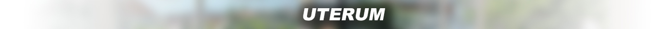 uterum